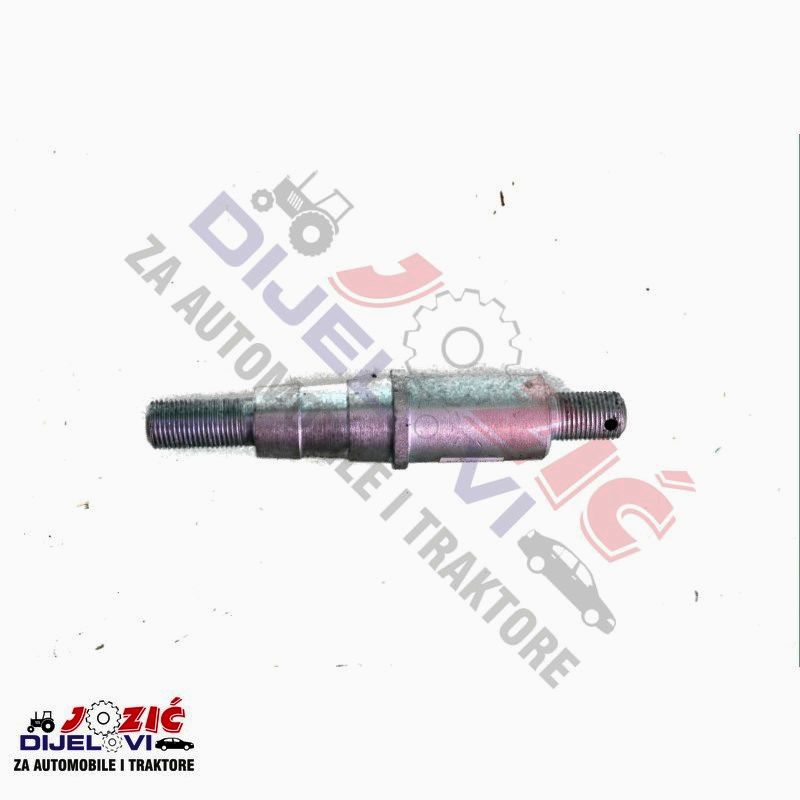 Daisy on the Ohoopee